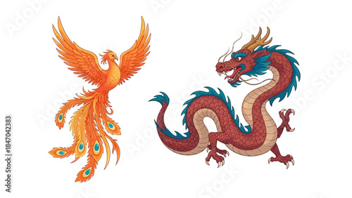 Colorful Phoenix and Dragon Illustration on White Background