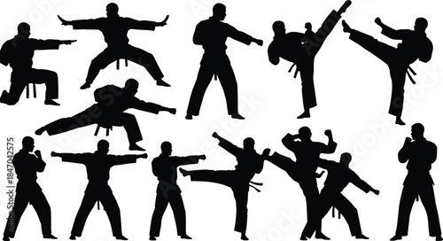 Karate and Taekwondo Martial Arts Silhouettes Vector, Dynamic Fighter Poses Collection, Athlete Training for Kick, Punch, and Kata, Combat Sport and Self-Defense Graphic Design.