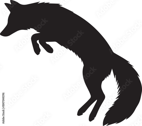Silhouette of a jumping fox in midair