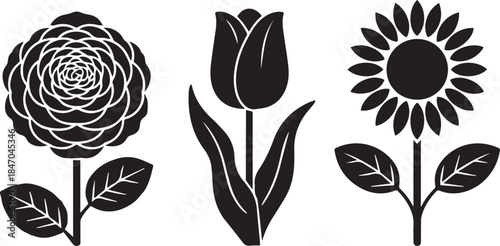 Set of three stylized flower silhouettes rose, tulip, and sunflower