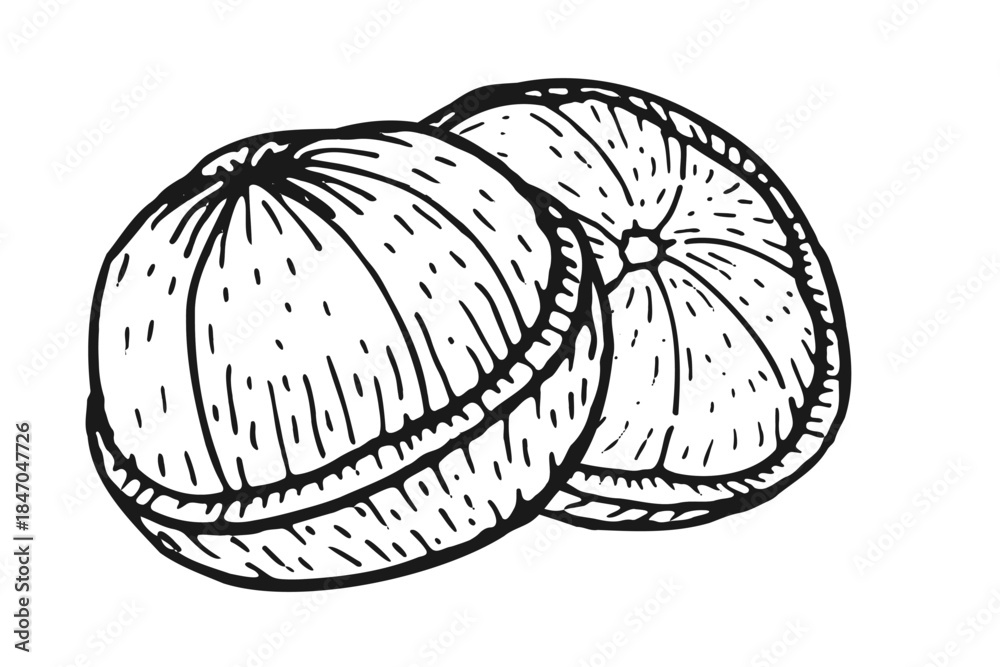 Fototapeta premium Hand drawn mangosteen fruit half set, half vector illustration isolated. Compositions of tropical fruit for logo, food labels.