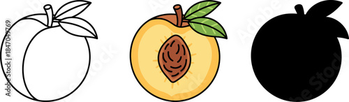 Fresh organic peach fruit with green leaves, healthy sweet summer snack vector illustration set.