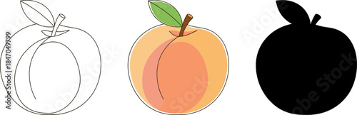 Fresh organic peach fruit with green leaves, healthy sweet summer snack vector illustration set.