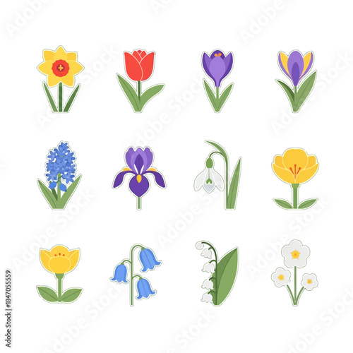set of colorful flowers