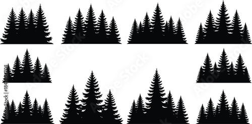 Collection of pine forest silhouettes with evergreen trees, natural woodland landscape elements for winter scenery, outdoor design, nature backgrounds and environmental illustration