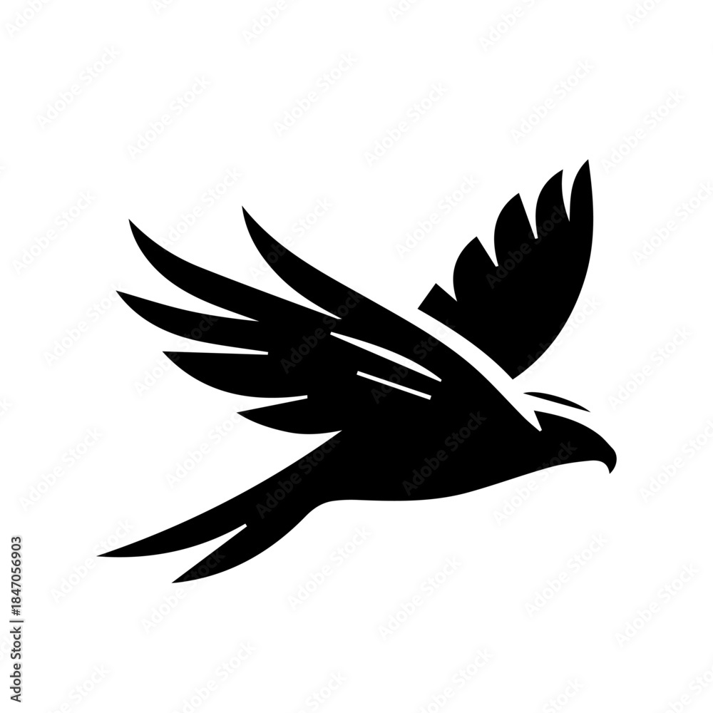 Obraz premium Hawk vector illustration