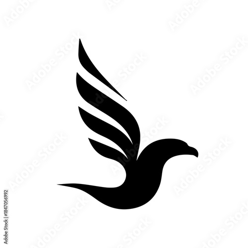 Hawk vector illustration