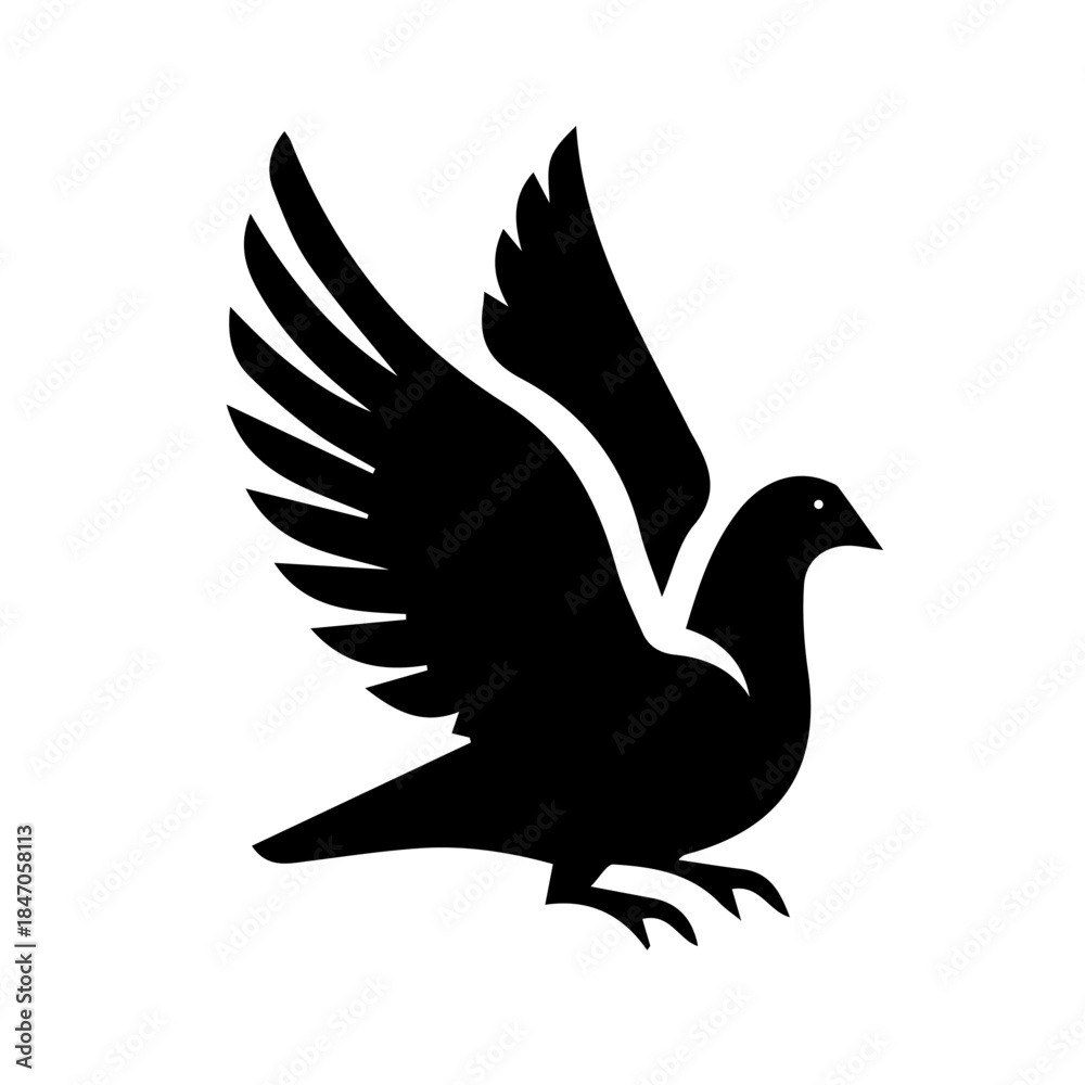 Obraz premium Pigeon on white background