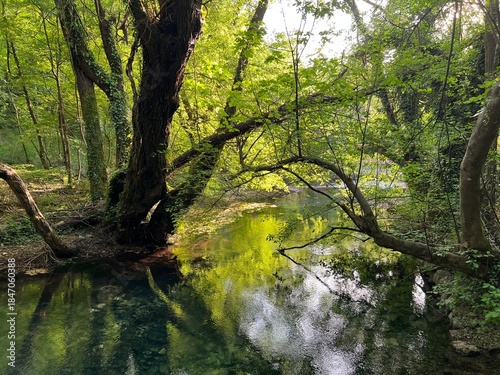 Grab Stream or the Significant Landscape Grab in the Sinjska Krajina region (Trilj, Croatia) - Potok Grab ili Značajni krajobraz Grab na području Sinjske krajine (Trilj, Hrvatska)
