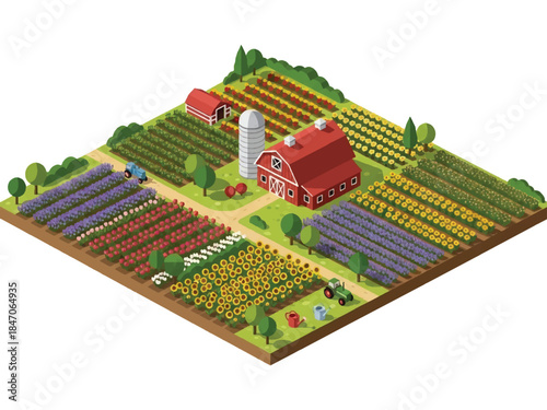 Isometric vector 3D view of large flower farming fields with blooming rows and farmers working, commercial floriculture and agriculture landscape