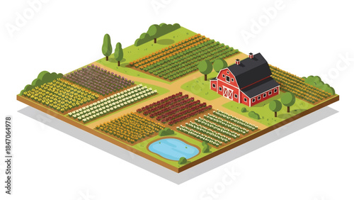 Isometric vector 3D view of large flower farming fields with blooming rows and farmers working, commercial floriculture and agriculture landscape