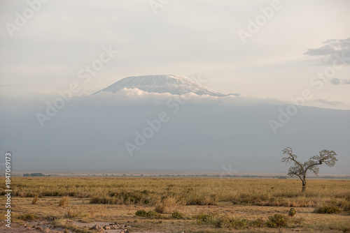 Evening atmosphere at Kilimanjaro