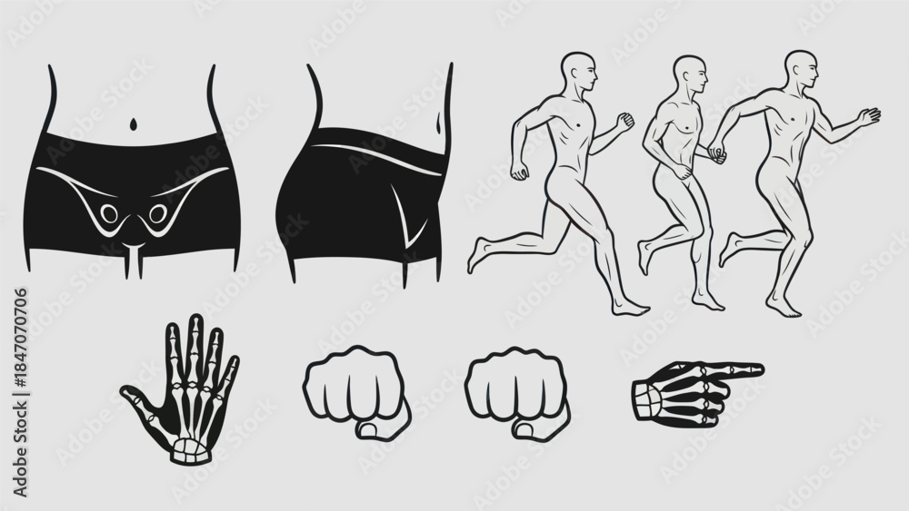 Fototapeta premium Human anatomy and running figures vector illustrations for educational and commercial use