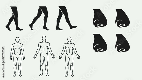 Human anatomy and walking legs icons isolated on white background