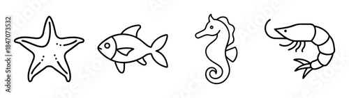 Simple line art illustrations of various sea creatures including starfish, fish, seahorse, and shrimp