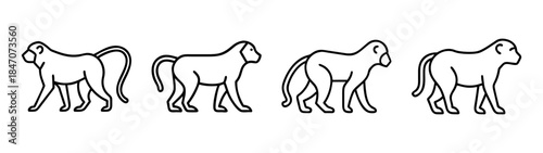 Black and white line art sequence illustration of four baboons walking in profile view.