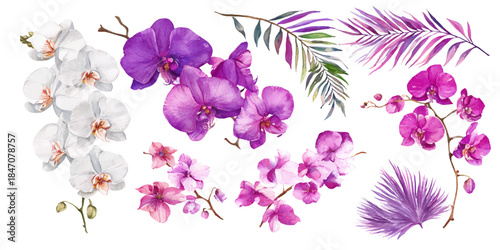 Exquisite orchid floral arrangement with tropical leaves