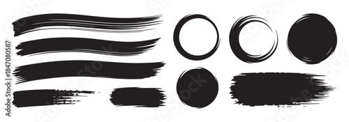 Abstract circles in rows. black and white rings. vector design elements