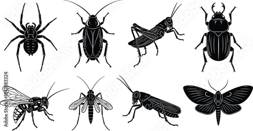 Black and white silhouette collection of various common insects and arachnids including spider, cockroach, grasshopper, beetle, wasp, mosquito, and moth for educational and design use