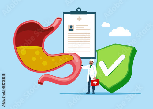 Human stomach system in normal. Full of gastric acid in cut view with green shield check mark. Problem. Flat vector illustration