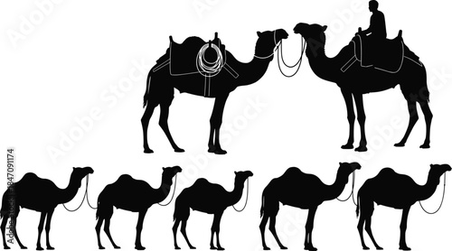 Camels Desert Animal Silhouette Flat Vector Illustration Set, Isolated Black and White Collection, Arabian Dromedary Caravan, Graphic Elements for Travel, Safari, and Middle East Design