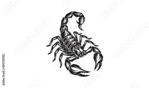 Intricate black vector illustration of a scorpion with a curled tail and detailed body segments, perfect for symbolic or tribal designs.