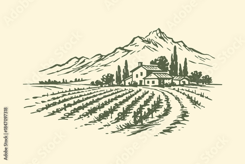 Vineyard landscape with farmhouse vintage sketch vector illustration