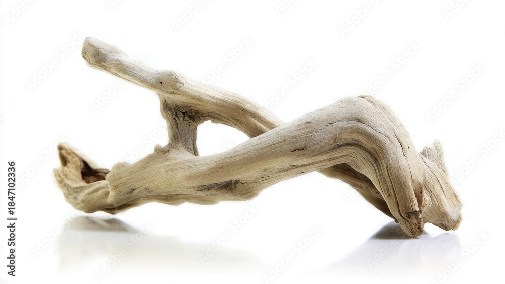 Fototapeta premium Driftwood Branch on White
