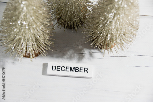 Decorative Christmas trees on a gray background. Concept of winter and winter holidays Christmas and New Year