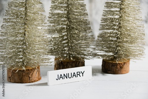 Decorative Christmas trees on a gray background. Concept of winter and winter holidays Christmas and New Year
