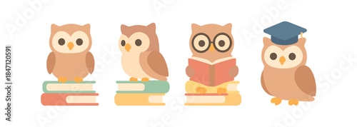 Cute owls on books in flat style: reading, learning, graduation, and education theme