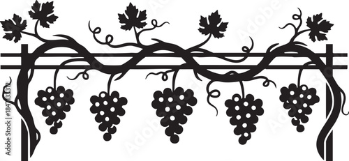 Gnarled Grapevine Wire Trellis Hanging Silhouettes isolated on white background