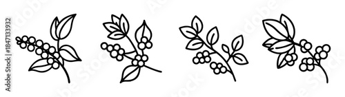 Collection of simple line art illustrations featuring sprigs with leaves and berries
