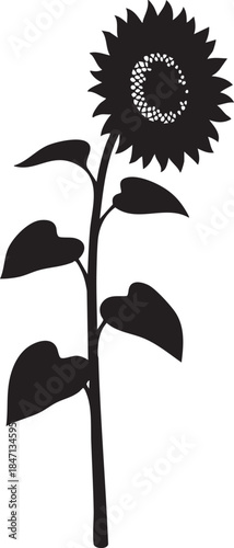 Tall Sunflower Iconic Round Head Silhouettes isolated on white background