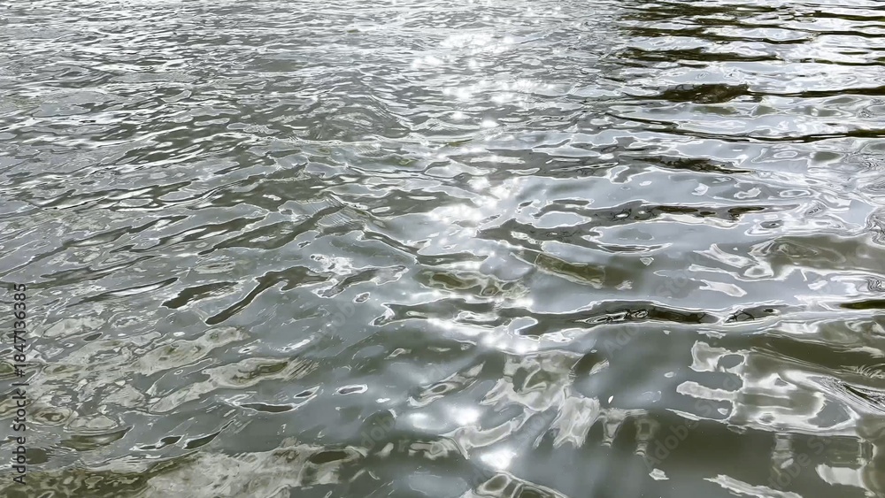 Fototapeta premium Scenery surface of pond illuminated by sun at summertime. Calm view on sea with small waves at sunny day. Beautiful summer nature landscape. Concept of tranquility scene. Slow motion