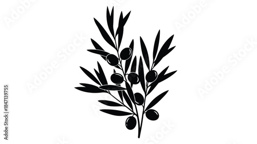 A simple black and white illustration depicting an olive branch with dark round olives
