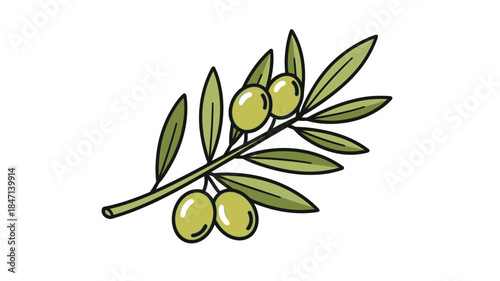 An illustration of a green olive branch with several olives depicted in a simple style