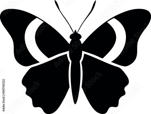 Red Admiral Butterfly Silhouette with White Wing Markings and Face Illusion Vector