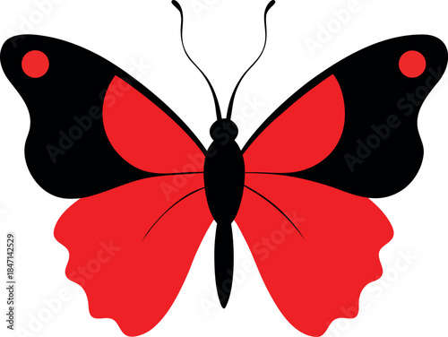 Red Admiral Butterfly with White Spots and Bold Wing Pattern Vector