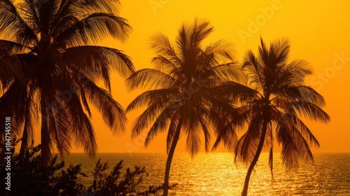 Palm trees stand tall along the beach as the sun sets over the ocean painting the sky orange. The waves gently lap at the shore during the evening.