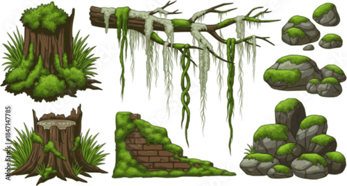 Green moss and lichen set. Swamp plant and liana hanging on forest tree branch, grass and oakmoss growth on brown stump and brick wall, mossy rocks and stones collection cartoon 
