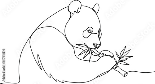 Panda eating bamboo, one line drawing, black and white illustration