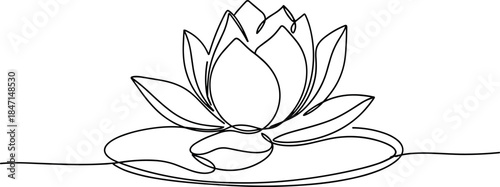 Minimalist Line Drawing of a Lotus Flower on Water