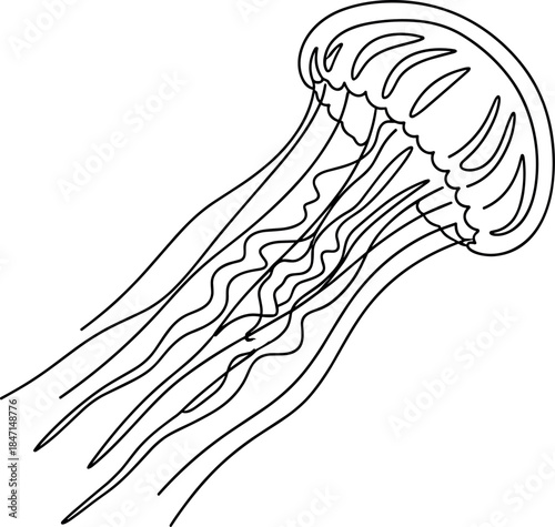 Line drawing of a jellyfish swimming in water, simple black and white illustration