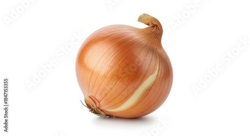 Wallpaper Mural Fresh brown onion with a smooth, shiny skin. Torontodigital.ca