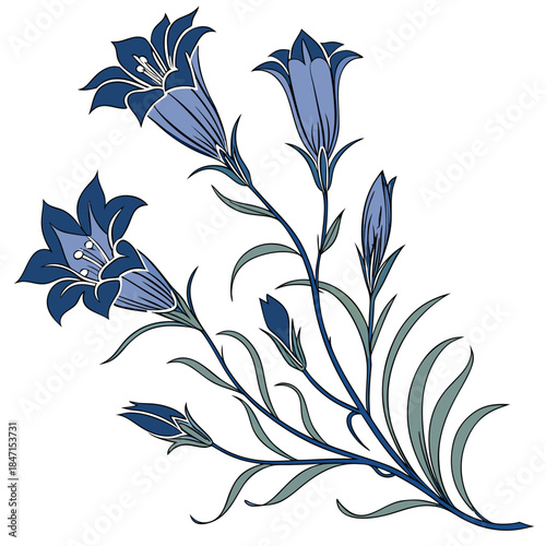 Alpine Gentian Flower Vector Illustration | Blue Alpine Wildflower Botanical Artwork | Mountain Flora Design