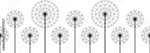 Seamless dandelion pattern. isolated on white background