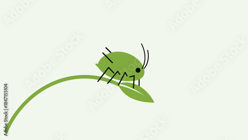 Green Aphid Insect on a Plant Stem with Leaf.