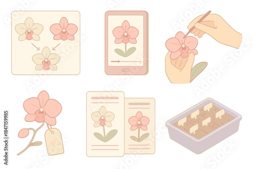 Orchid Pollination Techniques. Isometric vector illustration set Rare orchid pollination techniques: dual-species hybrid chart,