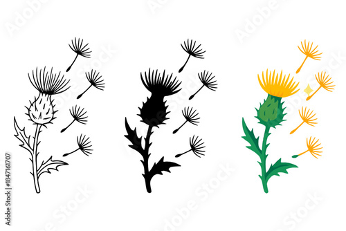 Artistic Thistle Variations. Thistle stalk, scattering down, sunlight glint, first in line style with thin outline, second in